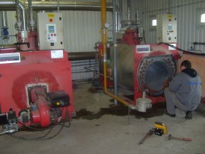 Reconditioning of steam boilers