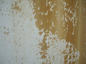 Test cleaning of an ACN tank with ice