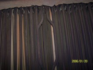 Replacement of a primary superheater and boiling tubes