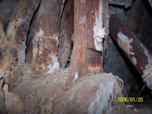 Replacement of a primary superheater and boiling tubes